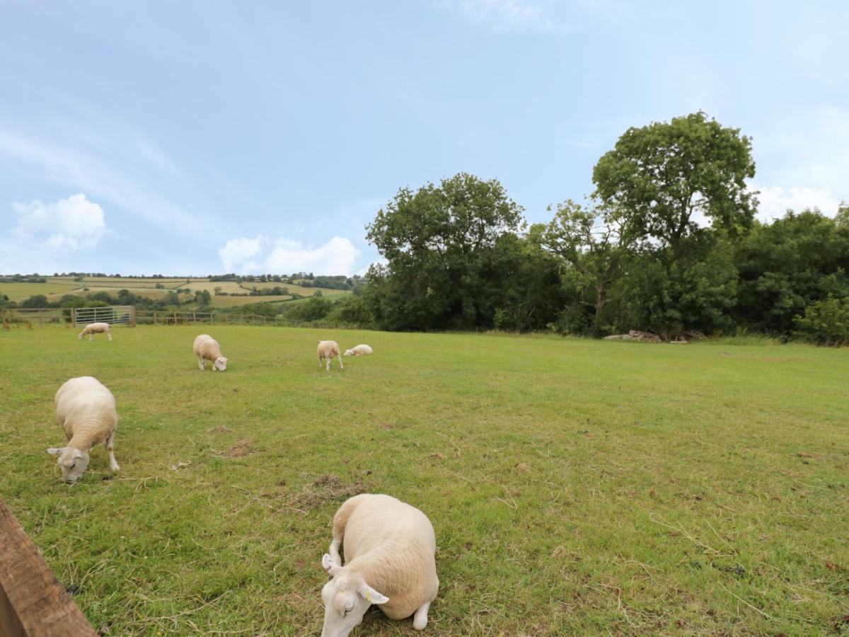 Holmer Farm Leominster Ngoại thất bức ảnh